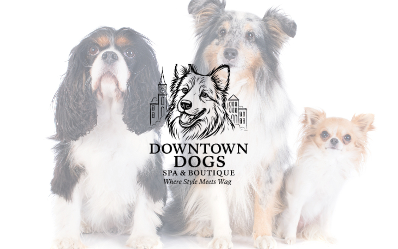 Downtown Dogs - $25 Gift Cards for $17.50