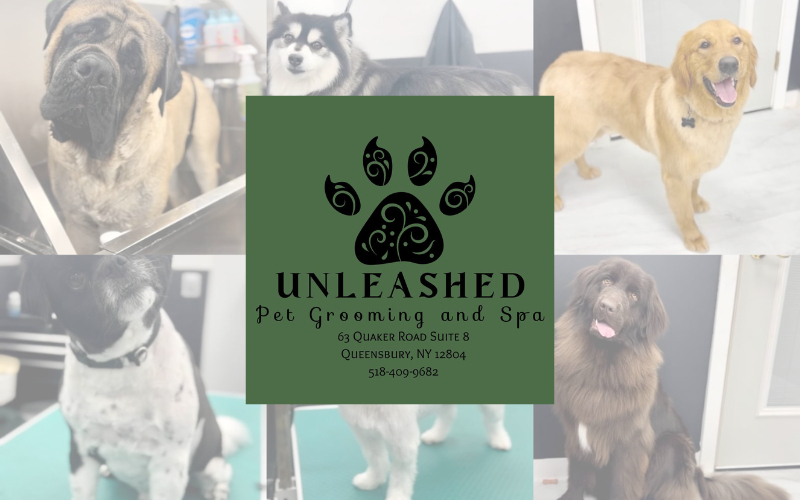 Unleashed Pet Grooming And Spa - Special De-shedding Offer! $25 for $17.50