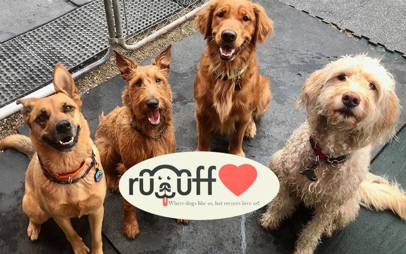 Ruuff Luv Doggie Day Care - $25 for $50 for Doggie Day Care or Boarding